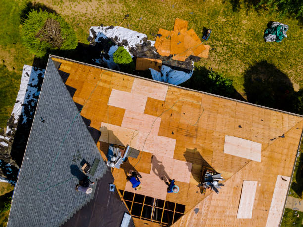 Professional Roofing Contractor in Chariton, IA