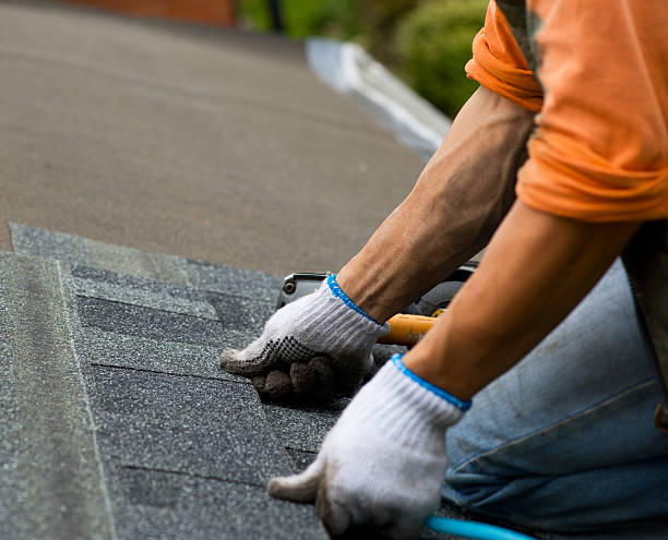 Best Roof Leak Repair  in Chariton, IA
