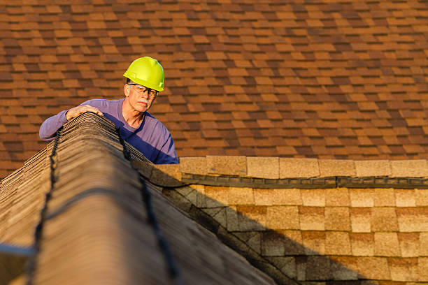Best Local Roofing Companies  in Chariton, IA